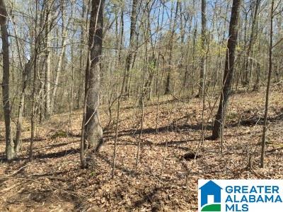 321 Camp Forrest Trail, Unit 772 Helena, AL 35080 - Photo 2 of 10