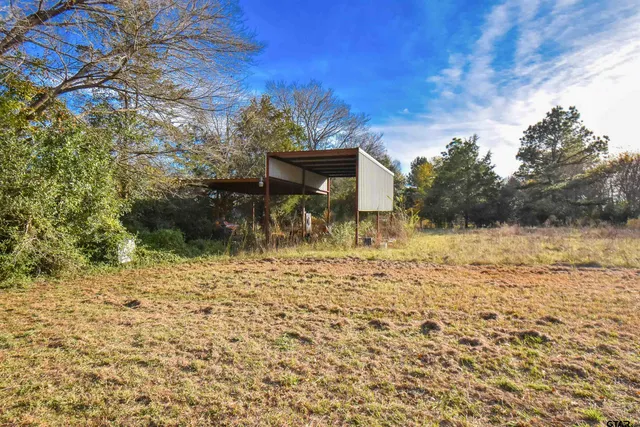 a view of a yard with a tree