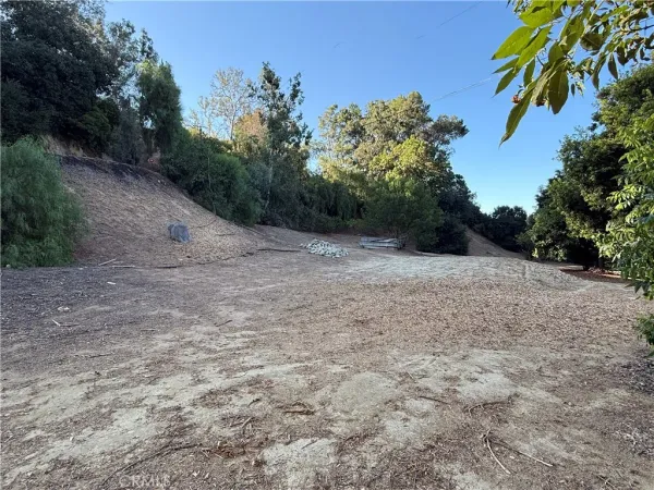 a view of a dirt road with trees in the background