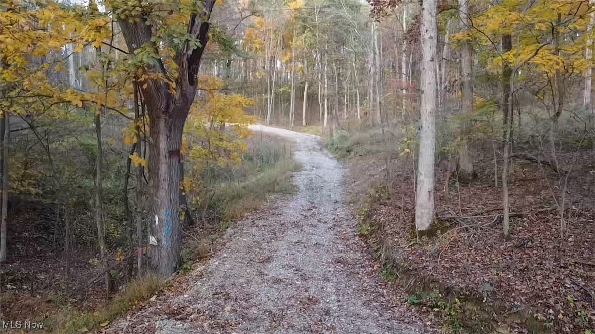 4277 Twin Sisters Road Cambridge, OH 43725 - Photo 2 of 27 View of driveway featuring a wooded view