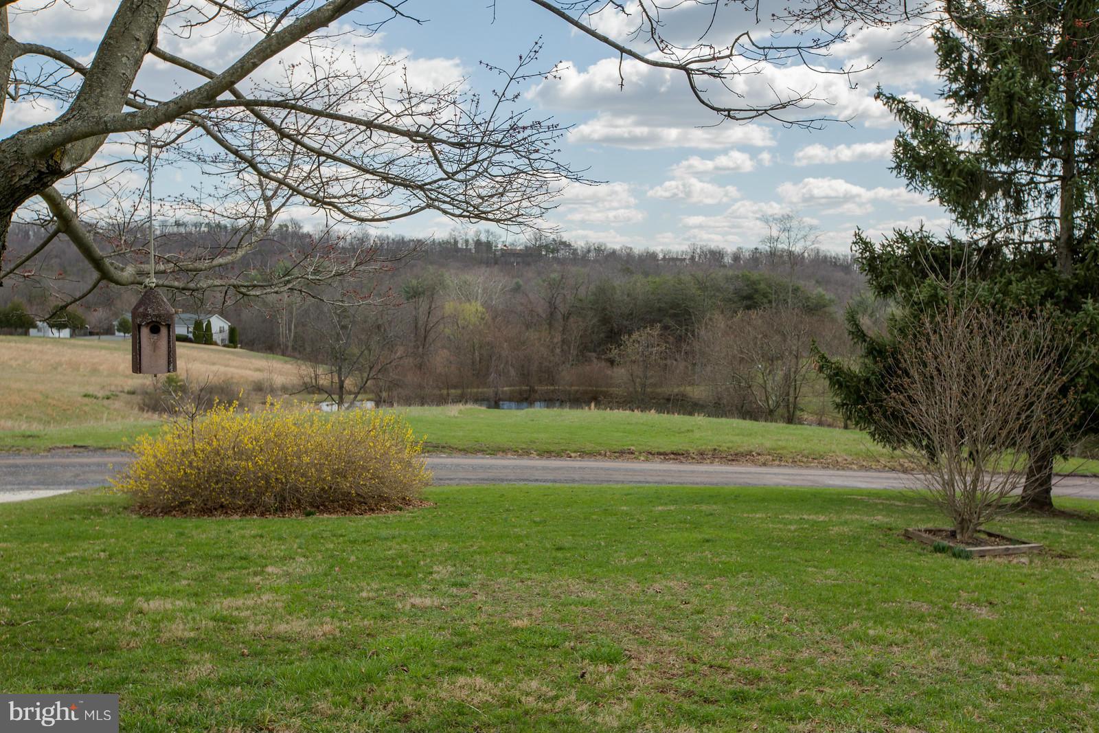 1047 New Hope Road Cross Junction, VA 22625 - Photo 26 of 27 a view of yard with tree