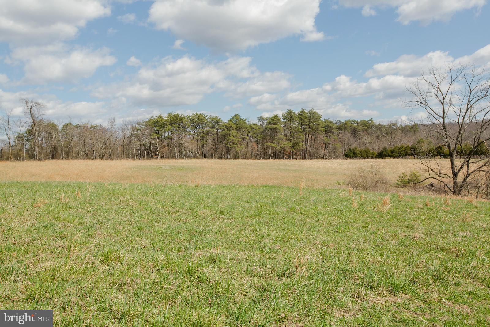 1047 New Hope Road Cross Junction, VA 22625 - Photo 27 of 27 a view of an outdoor space and a yard