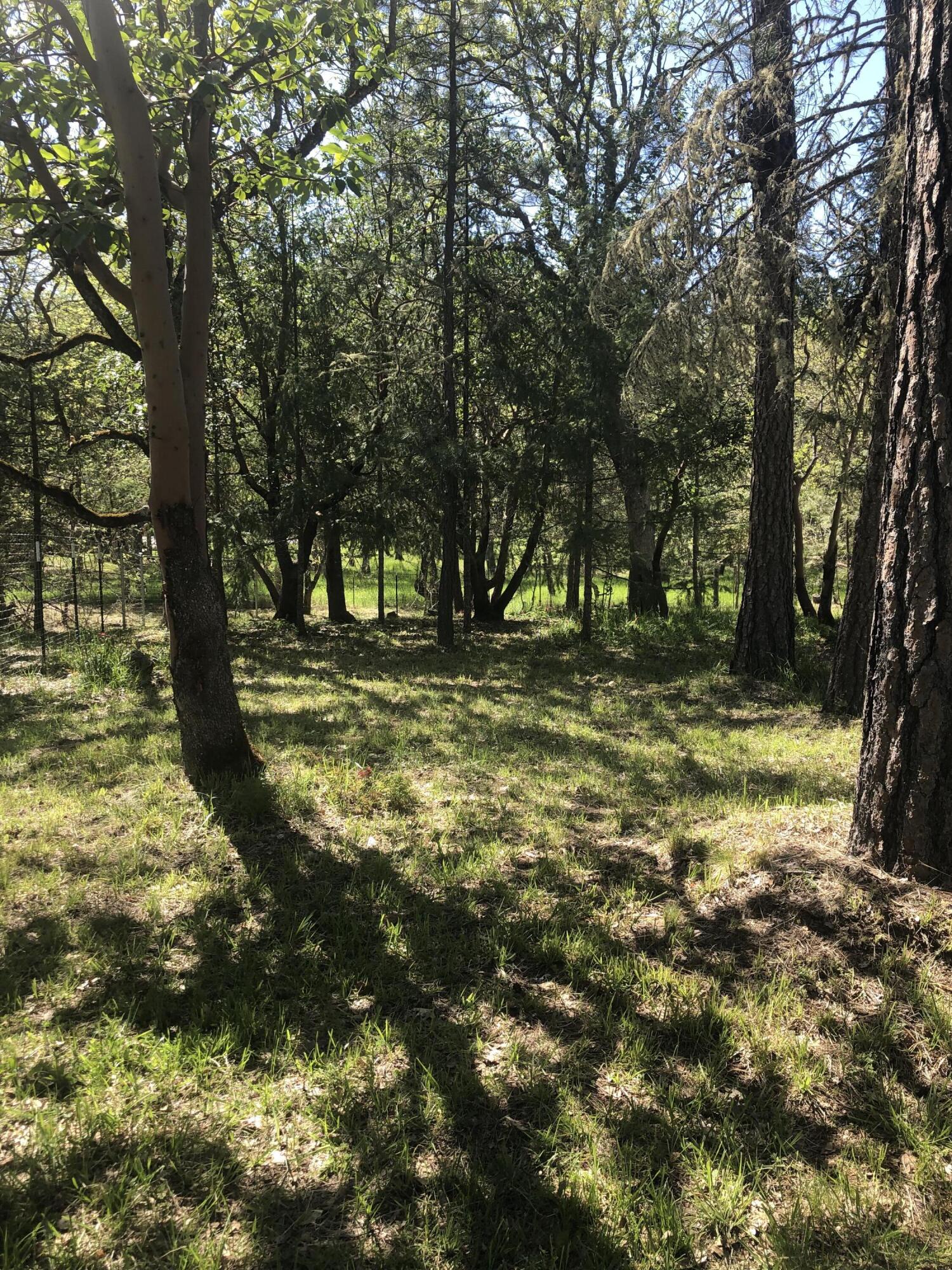 379 Latigo Ranch Road Williams, OR 97544 - Photo 28 of 36 IMG_5266