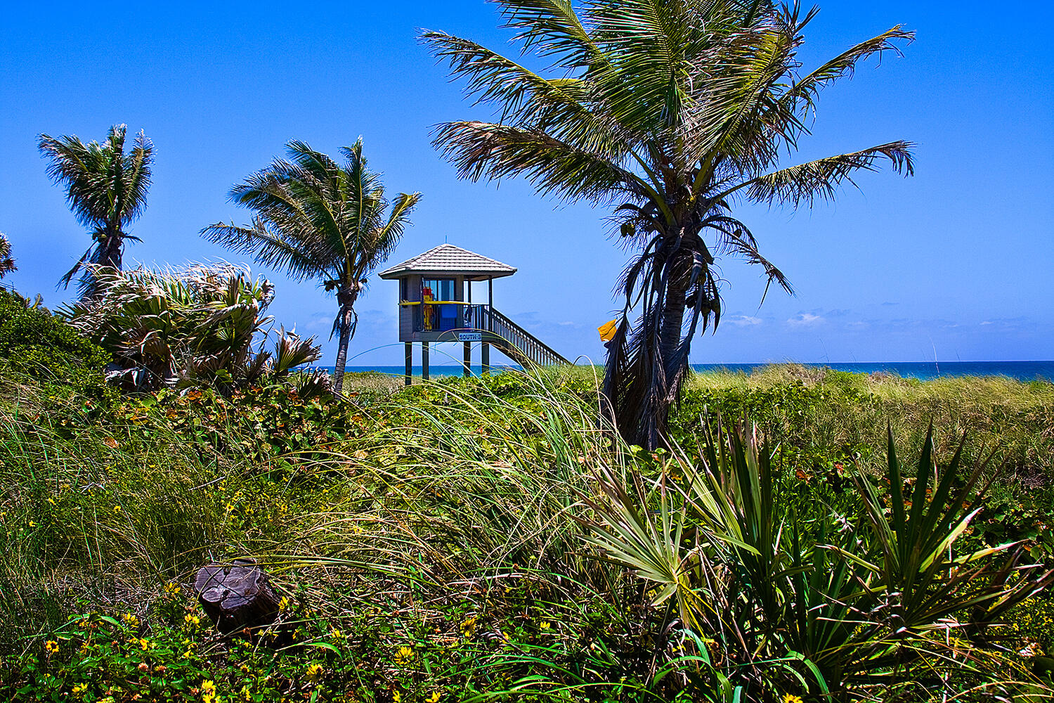 604 Renaissance Way Delray Beach, FL 33483 - Photo 47 of 54 23__Beach