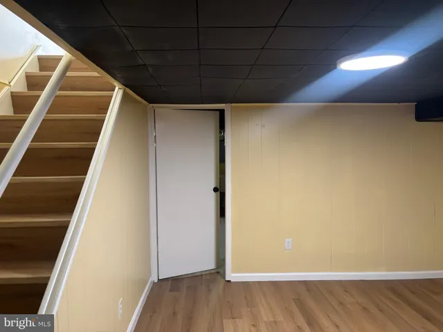 a view of a yard with plants and trees