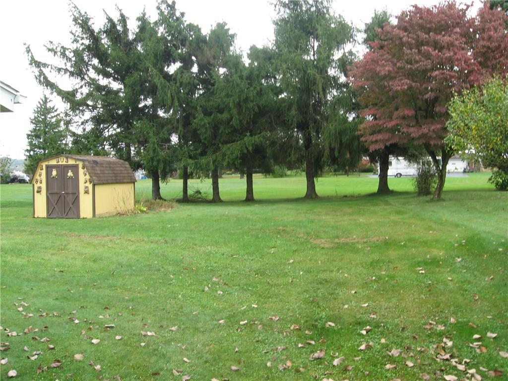 113 Locust Road Mount Pleasant, PA 15666 - Photo 3 of 14 Level yard with a storage shed.