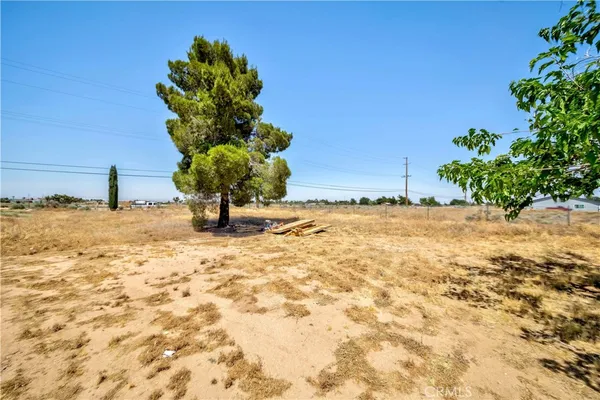 a view of a yard