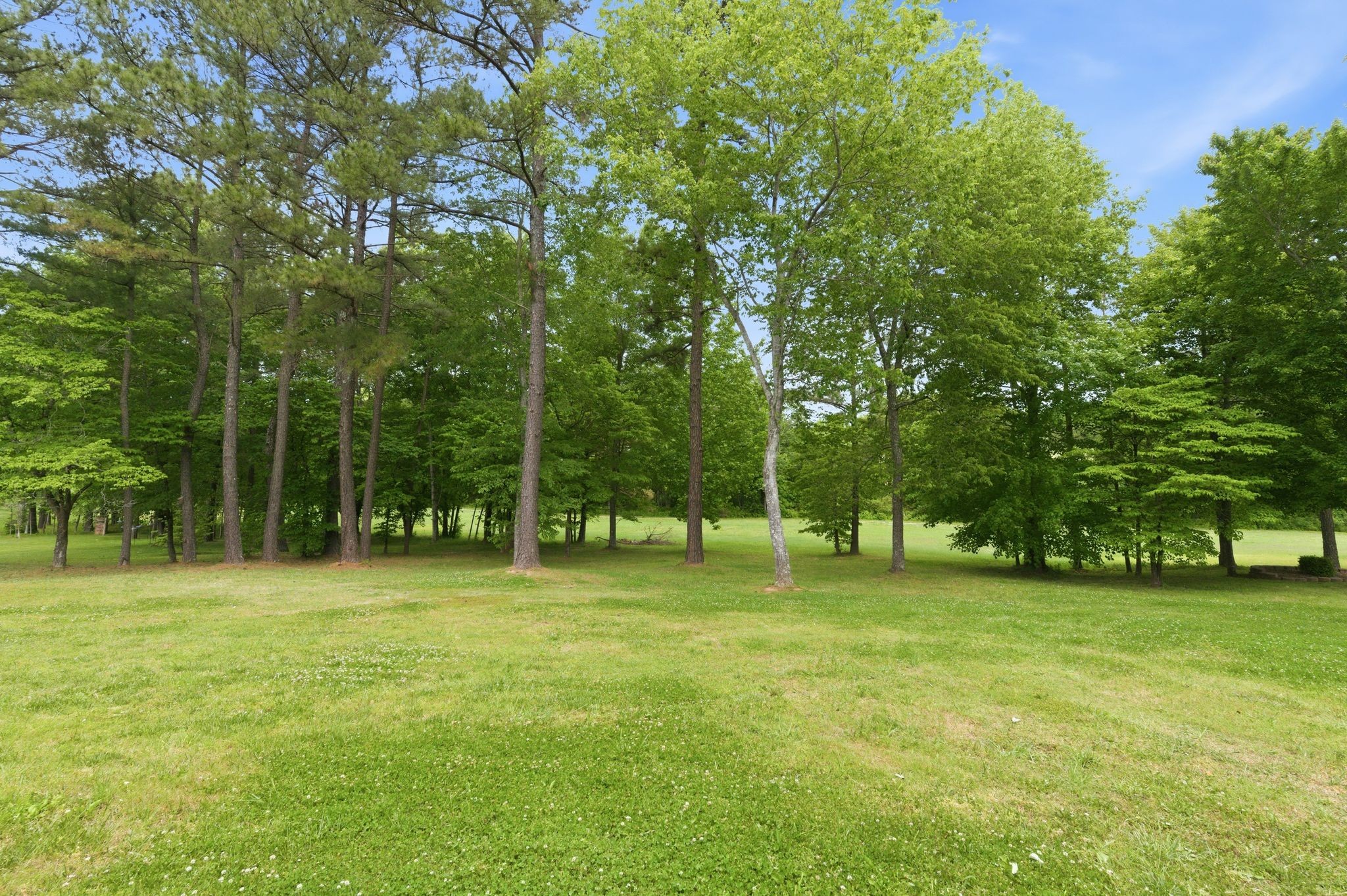 528 Country Club Drive Dickson, TN 37055 - Photo 48 of 55 a backyard of a house with lots of green space