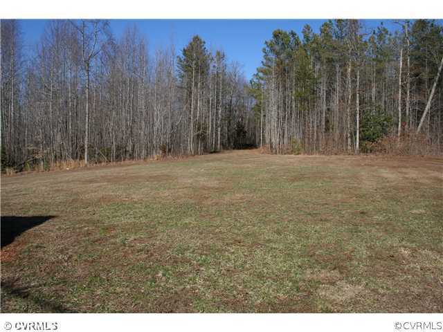 20212 Pony Farm Road Maidens, VA 23102 - Photo 11 of 13 Land - Back part of the 10 Acres