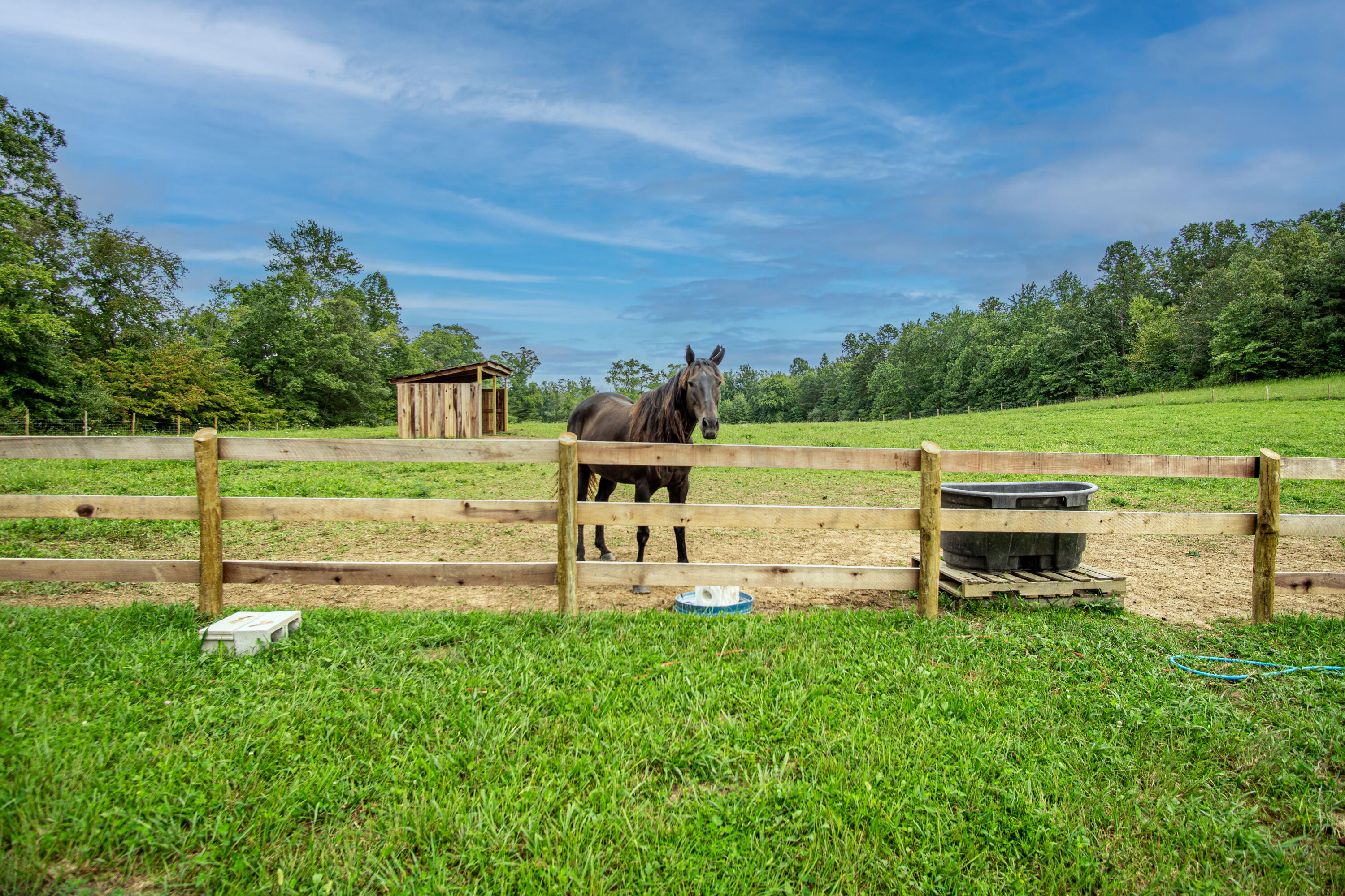 1638 Conway Road McKee, KY 40447 - Photo 9 of 58 DSC03358-HDR copy