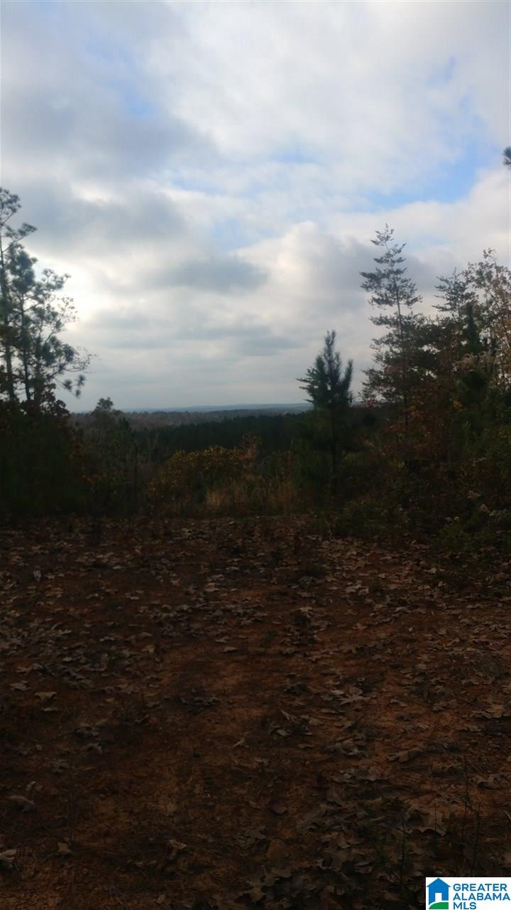 0 Bulldog Bend Road Brierfield, AL 35035 - Photo 26 of 32