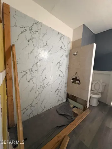 a bathroom with a shower and toilet
