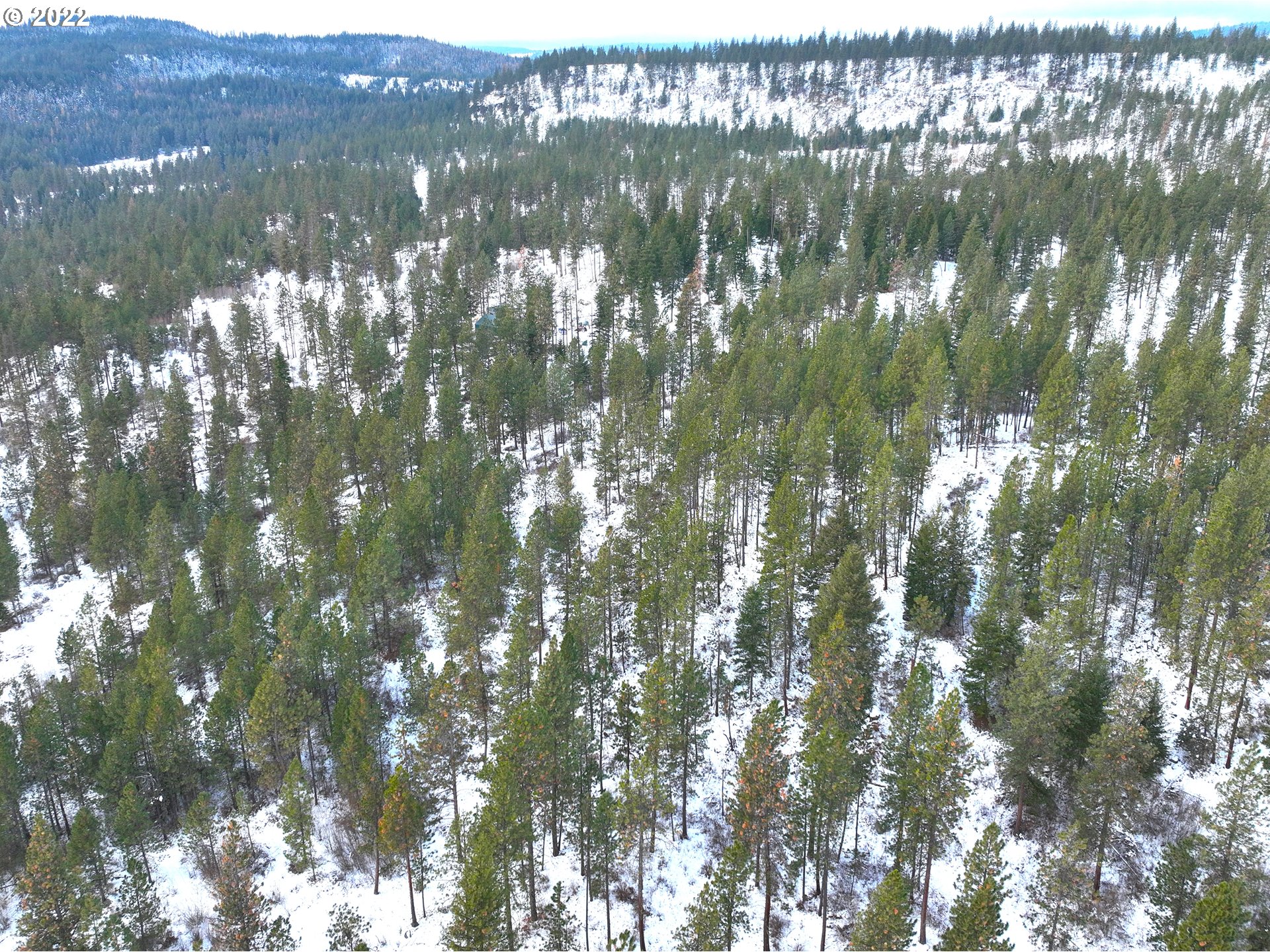 73827 Palmer Junction Road Elgin, OR 97827 - Photo 24 of 24 Gallery Image 24