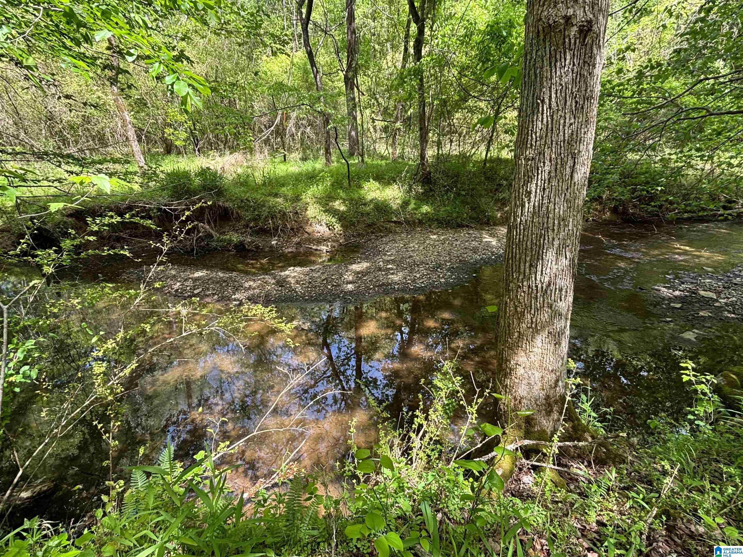 498 Blackwood Road, Unit 14 9 ACRES Parrish, AL 35580 - Photo 13 of 50