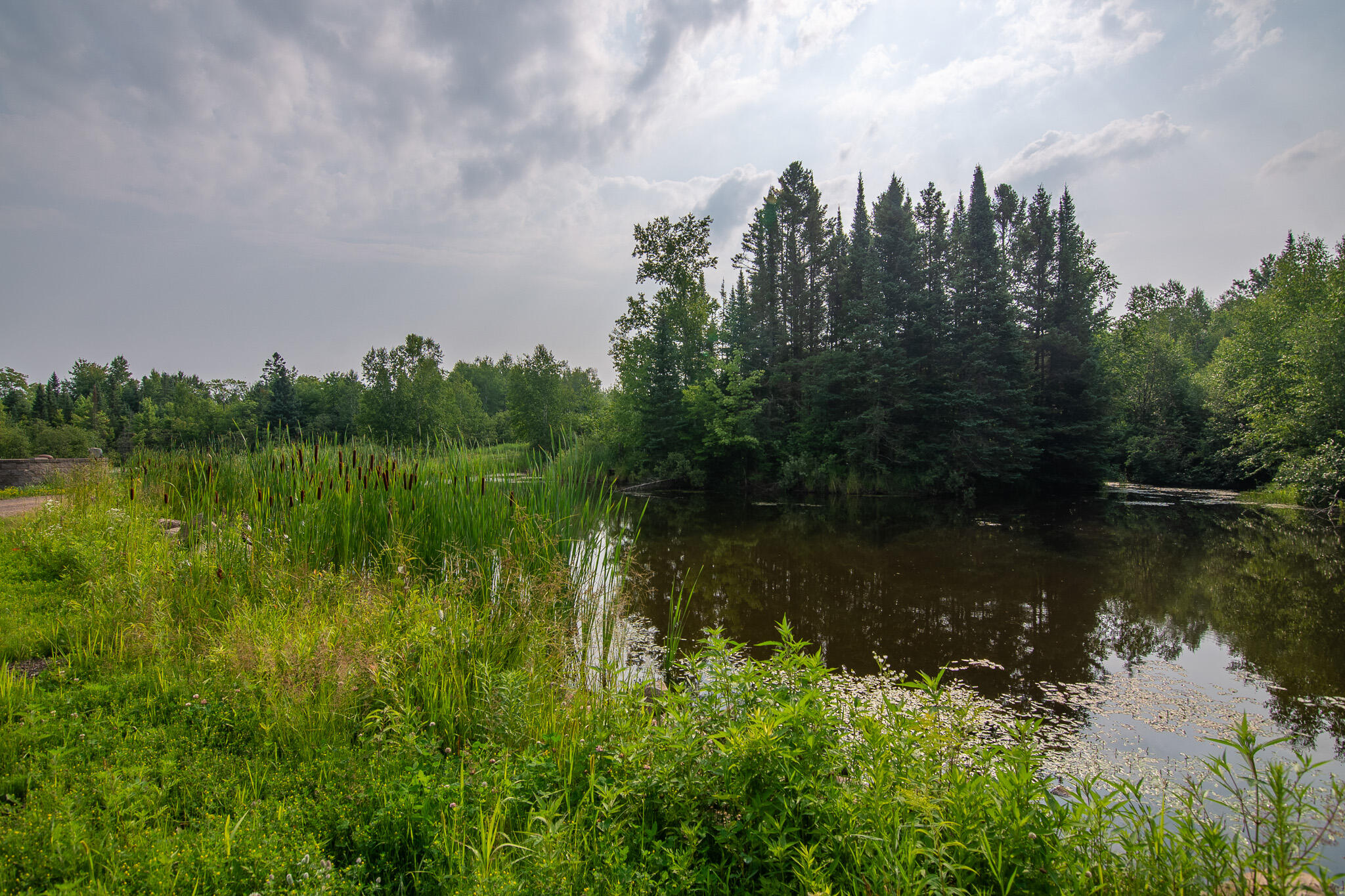 W10905 Otto Road Merrill, WI 54452 - Photo 48 of 56 _DSC0632-HDR