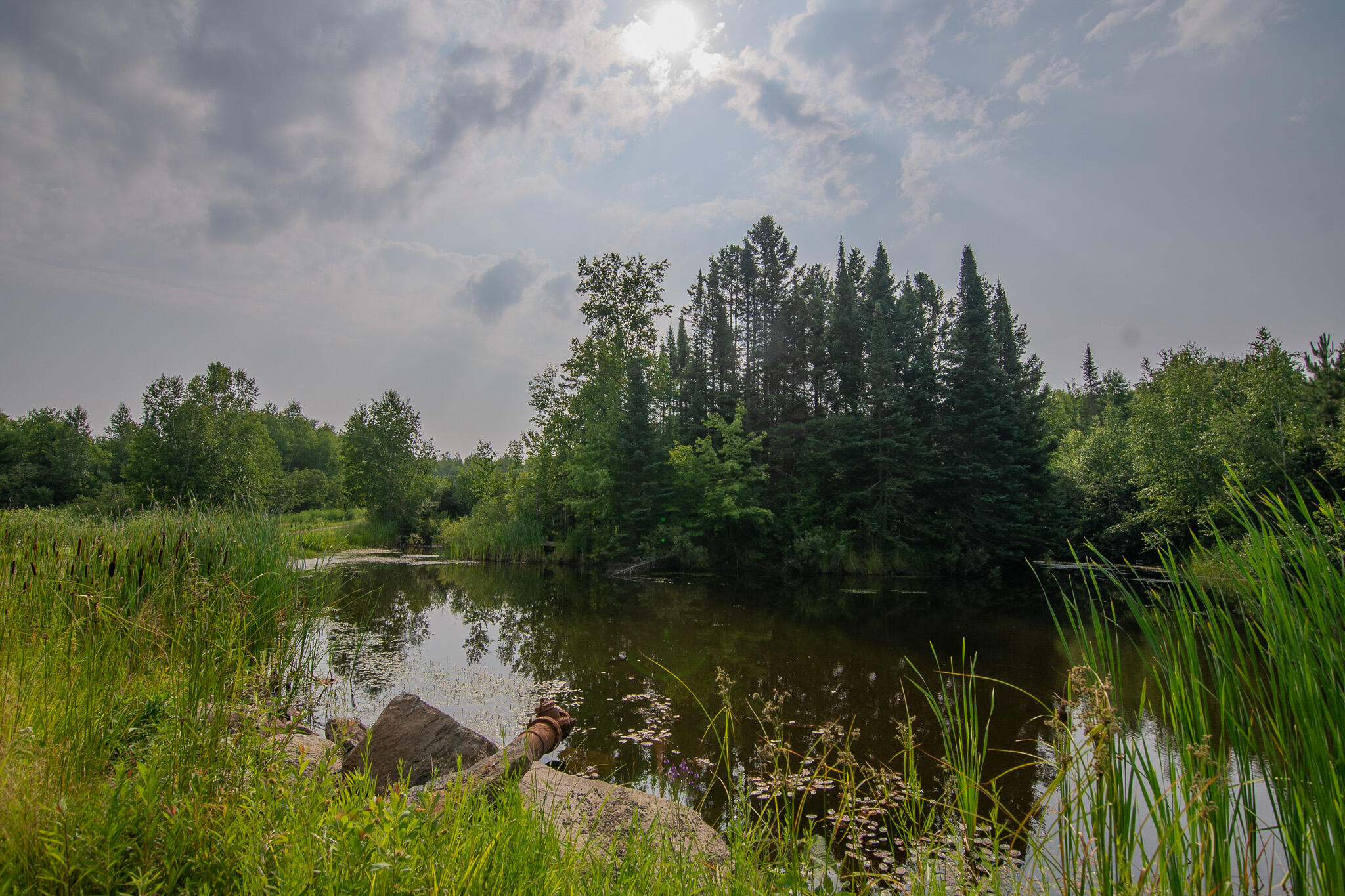 W10905 Otto Road Merrill, WI 54452 - Photo 50 of 56 _DSC0635-HDR