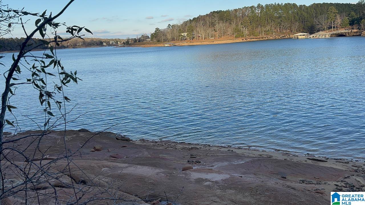 0 Edgewater Bend, Unit 29 Double Springs, AL 35553 - Photo 5 of 18