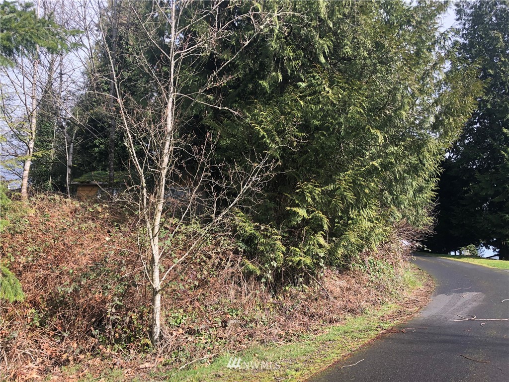 3729 Columbia Heights Road Longview, WA 98632 - Photo 2 of 6 Gallery Image 2