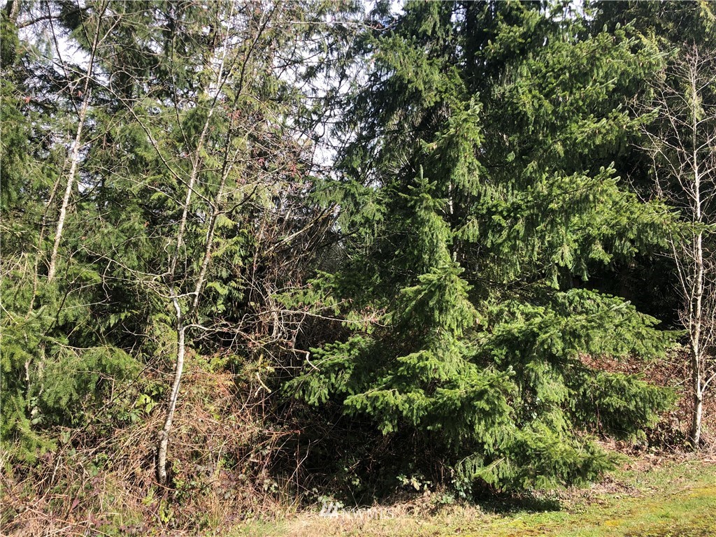 3729 Columbia Heights Road Longview, WA 98632 - Photo 4 of 6 Gallery Image 4