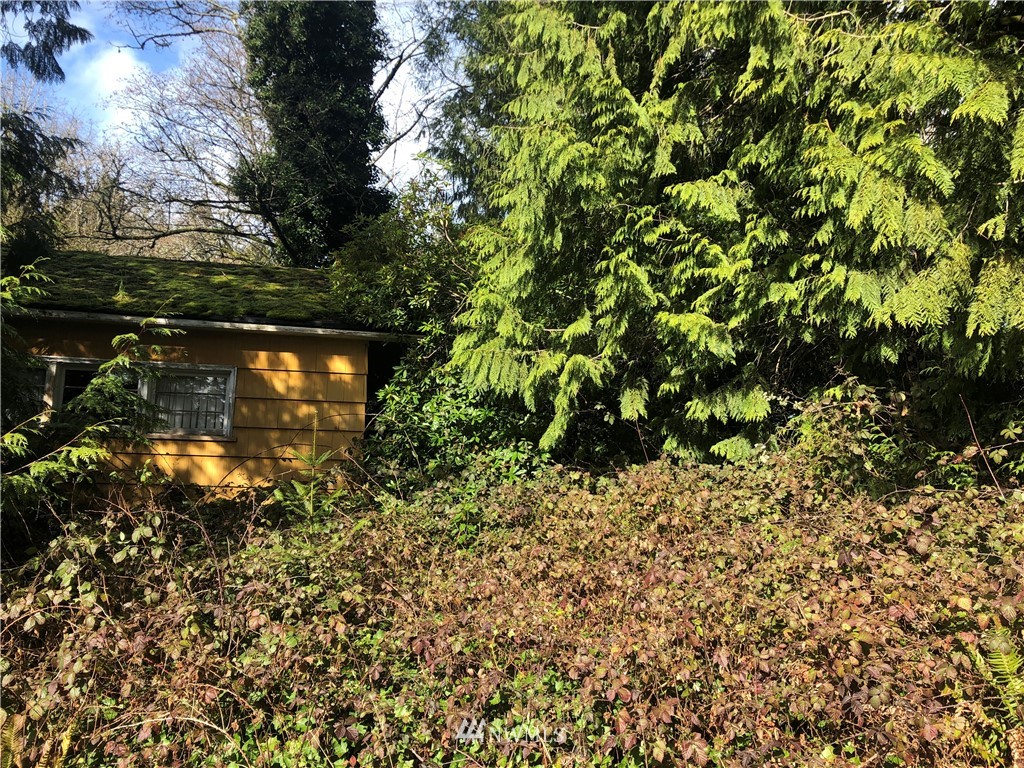 3729 Columbia Heights Road Longview, WA 98632 - Photo 5 of 6 Gallery Image 5