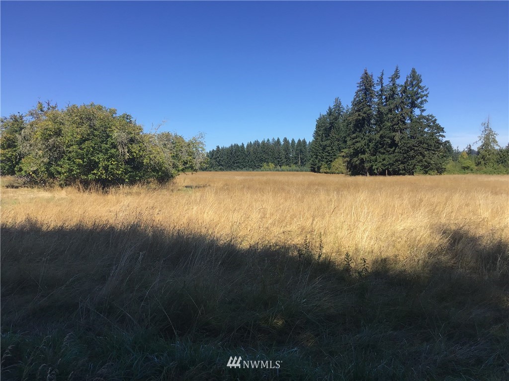 169 Fay Road Chehalis, WA 98532 - Photo 1 of 7