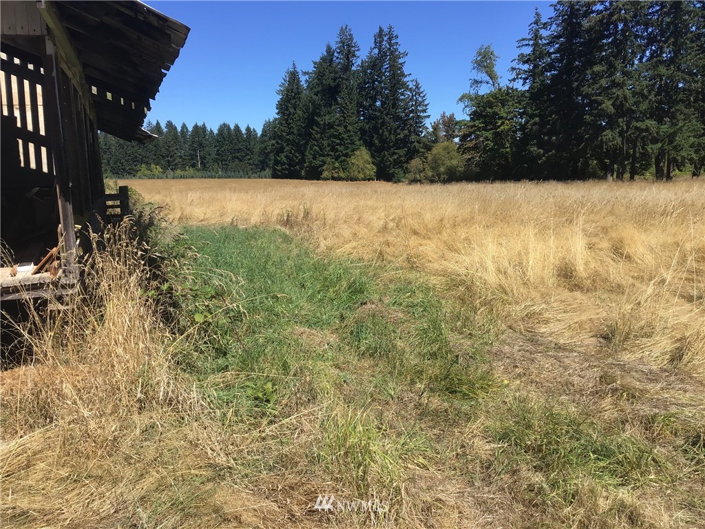 169 Fay Road Chehalis, WA 98532 - Photo 2 of 7