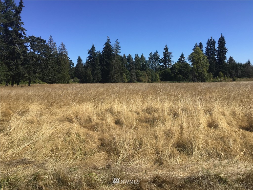 169 Fay Road Chehalis, WA 98532 - Photo 3 of 7