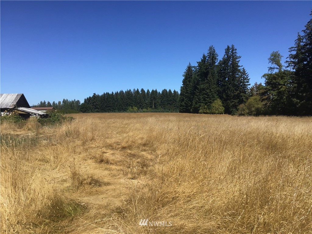 169 Fay Road Chehalis, WA 98532 - Photo 4 of 7