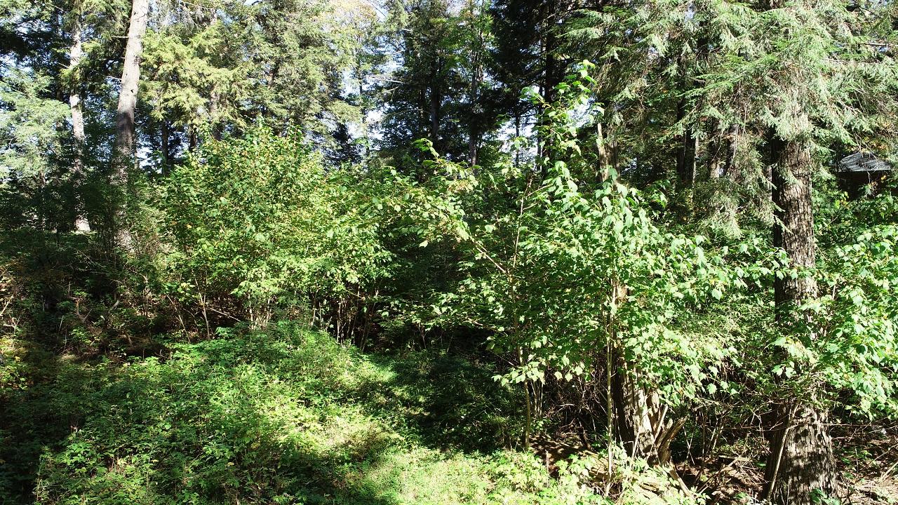 Lot 9 Stafford Point Road North Mercer, WI 54547 - Photo 22 of 28 Gallery Image 22