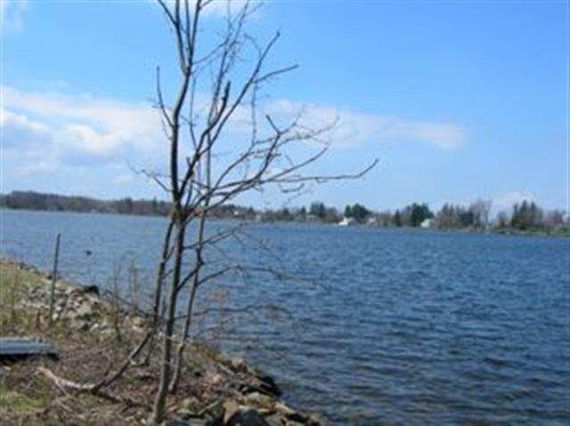 456 South Shore Road Delanson, NY 12053 - Photo 4 of 6 Photo 4