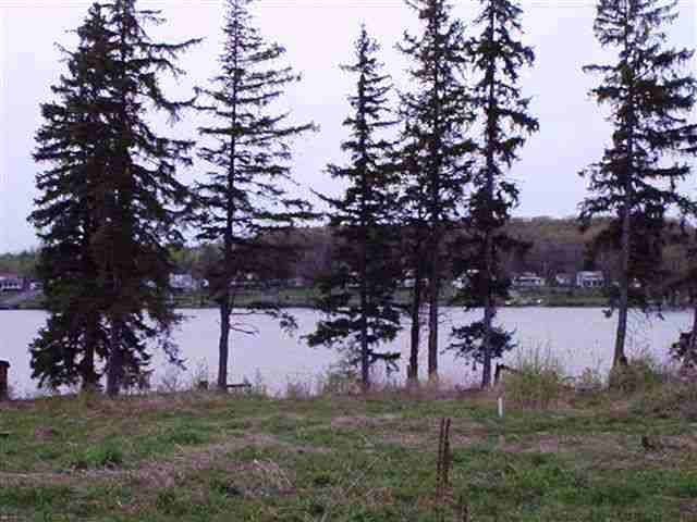 456 South Shore Road Delanson, NY 12053 - Photo 6 of 6 Photo 6