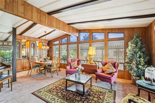 a living room with furniture a rug and a large window