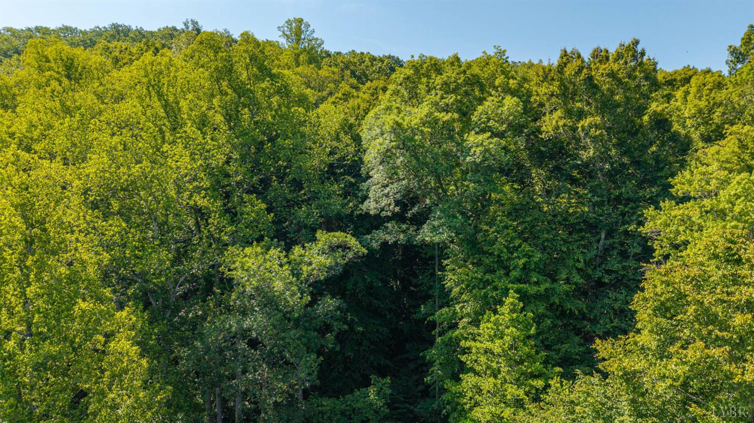 0 Mt Athos Road Lynchburg, VA 24504 - Photo 24 of 42