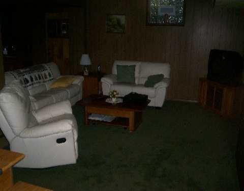 3723 Windover Road Murrysville, PA 15668 - Photo 5 of 5 Den/Family/Great Room.