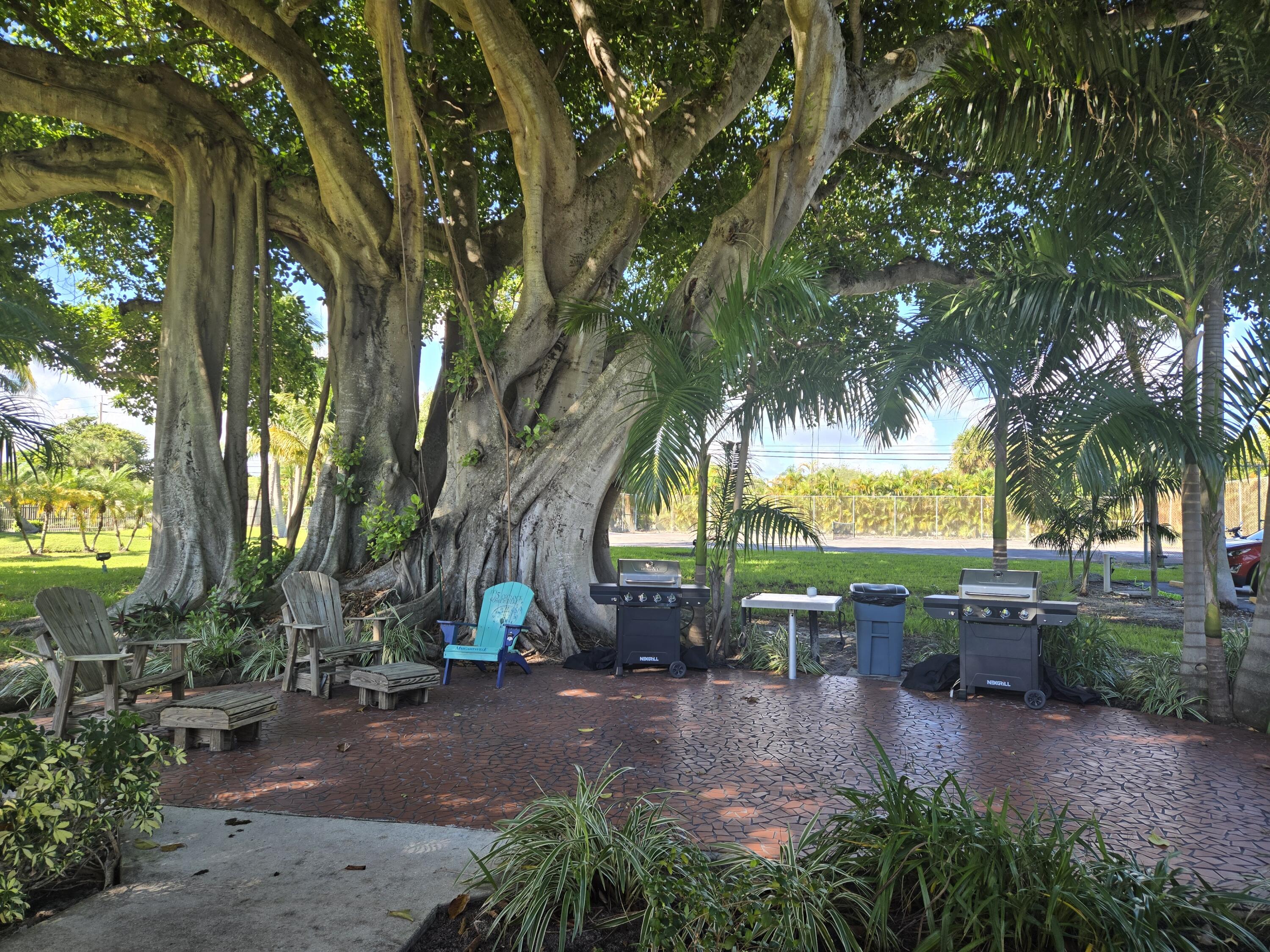 2424 North Federal Highway, Unit 207 Boynton Beach, FL 33435 - Photo 31 of 49 a view of a park with trees and plants