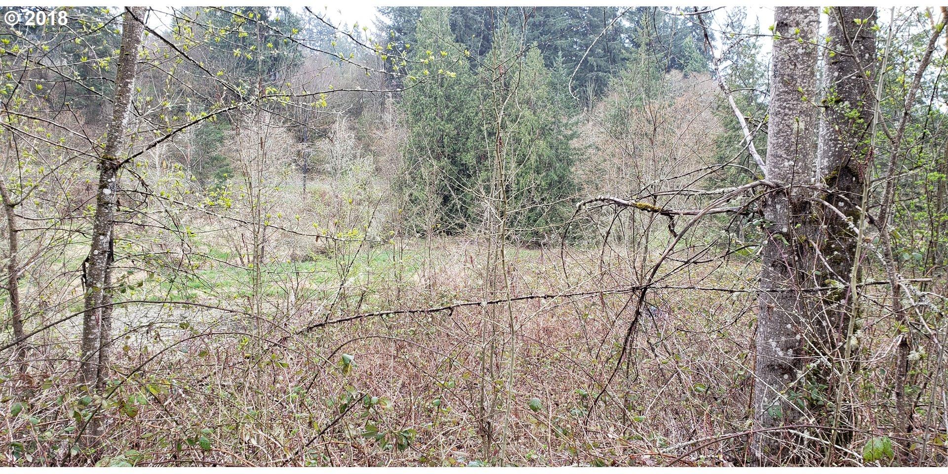 Northwest 41st Avenue Ridgefield, WA 98642 - Photo 10 of 14 Gallery Image 10