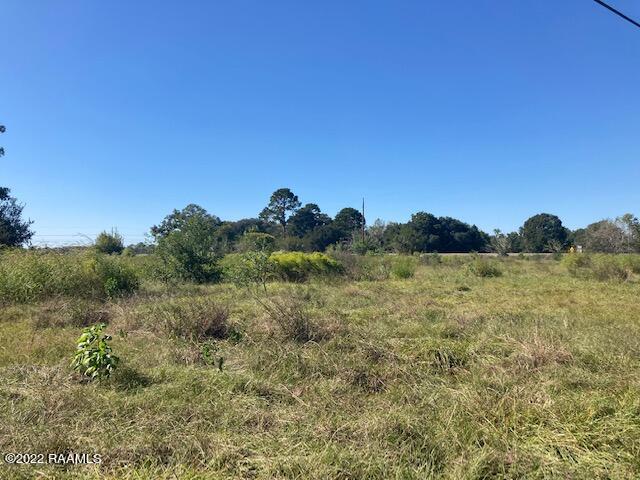 0 Hwy 190 Eunice La Eunice, LA 70535 - Photo 4 of 5 IMG_2947