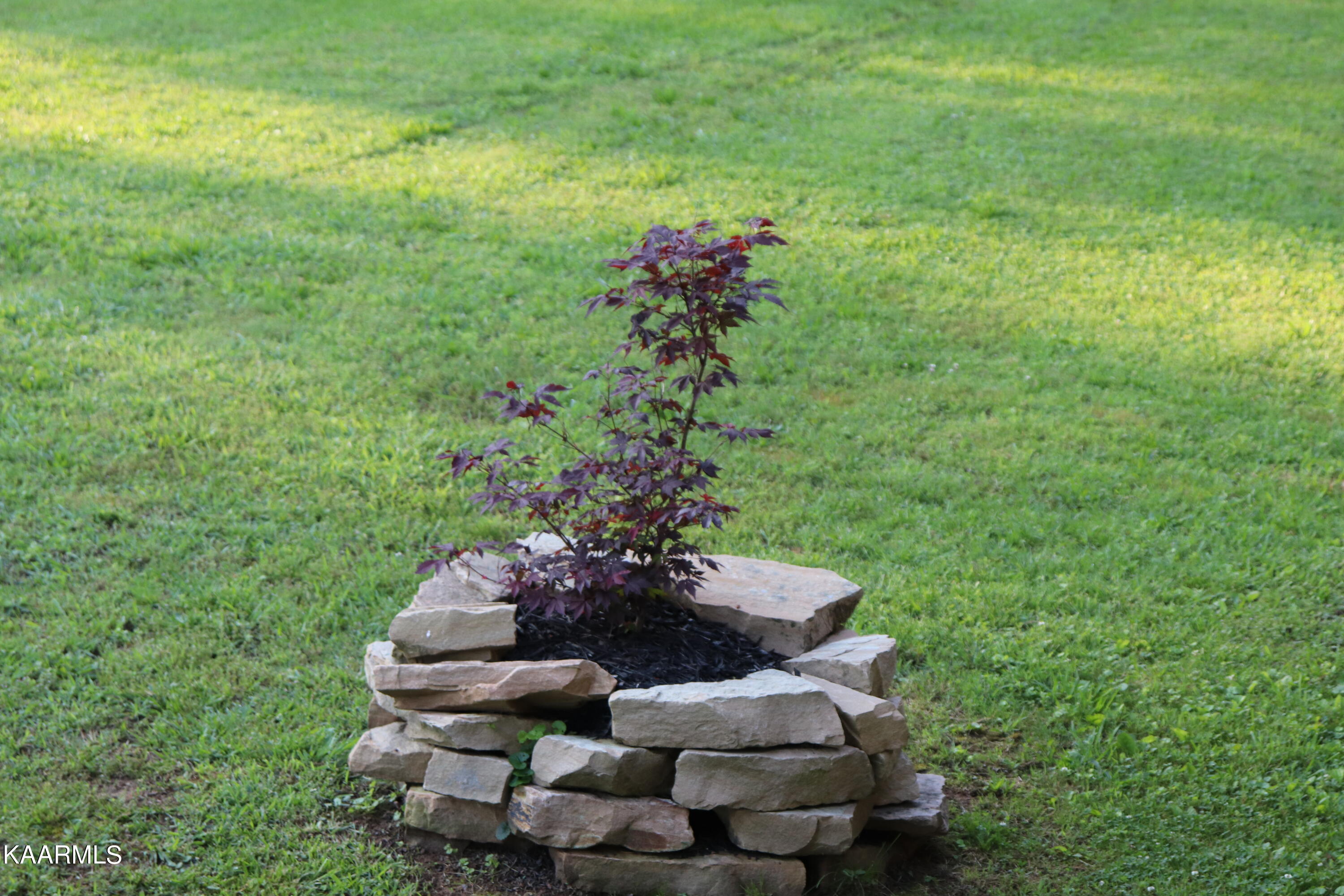 123 Cedar Lane Road Madisonville, TN 37354 - Photo 33 of 38 IMG_3000