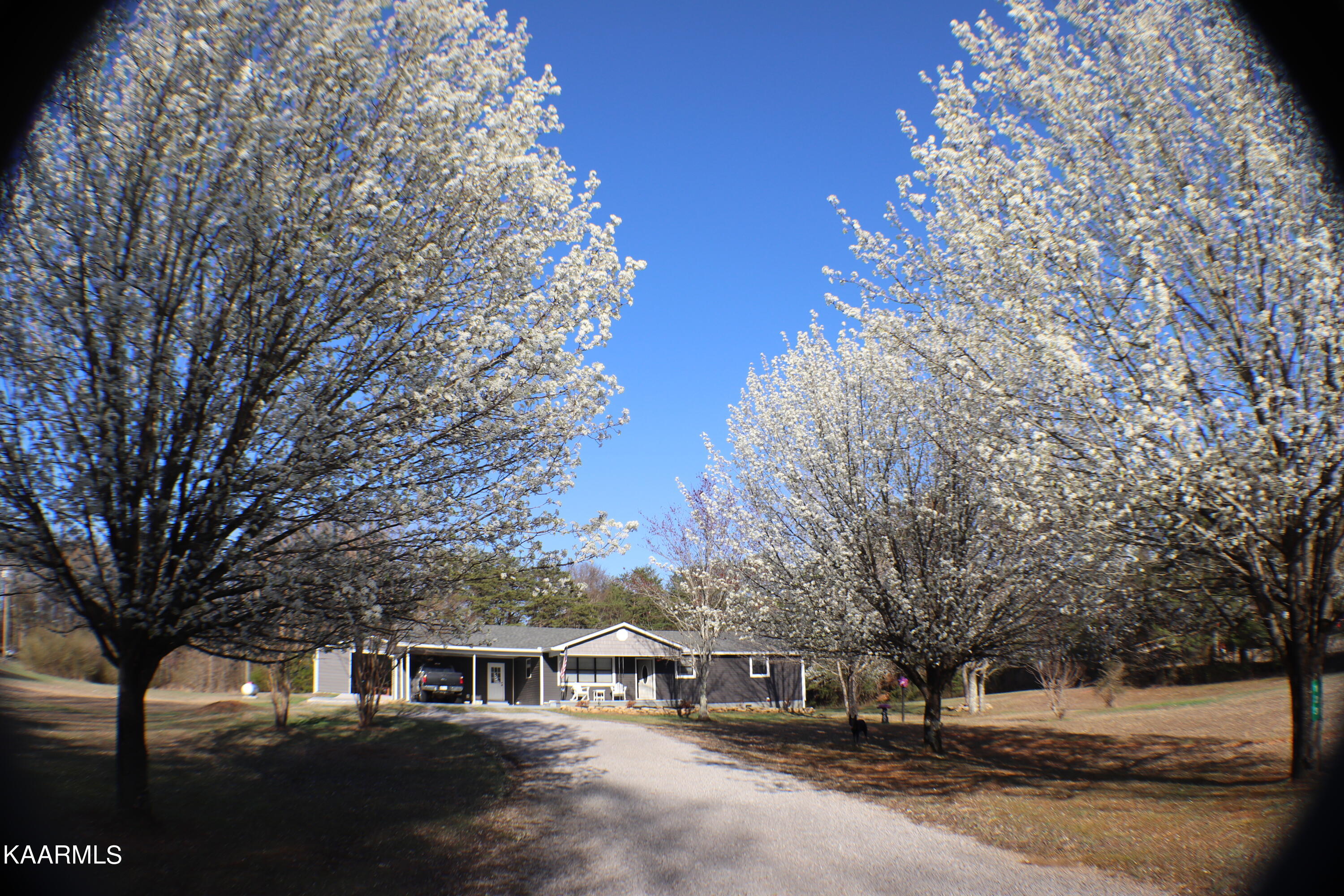 123 Cedar Lane Road Madisonville, TN 37354 - Photo 35 of 38 IMG_2896 - Copy