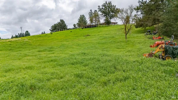 a view of a garden with a fountain