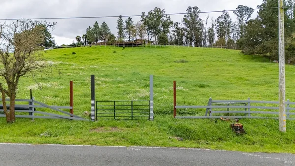 a backyard with a garden