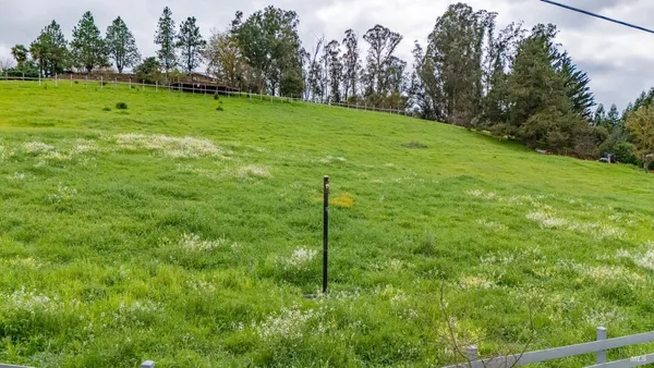 a view of a field with an ocean