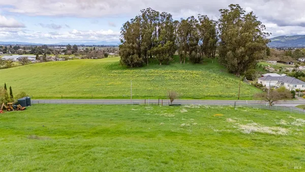 a view of a park with large trees