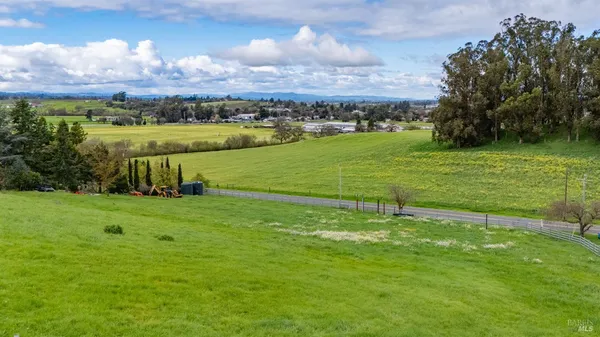 a view of a field with an trees