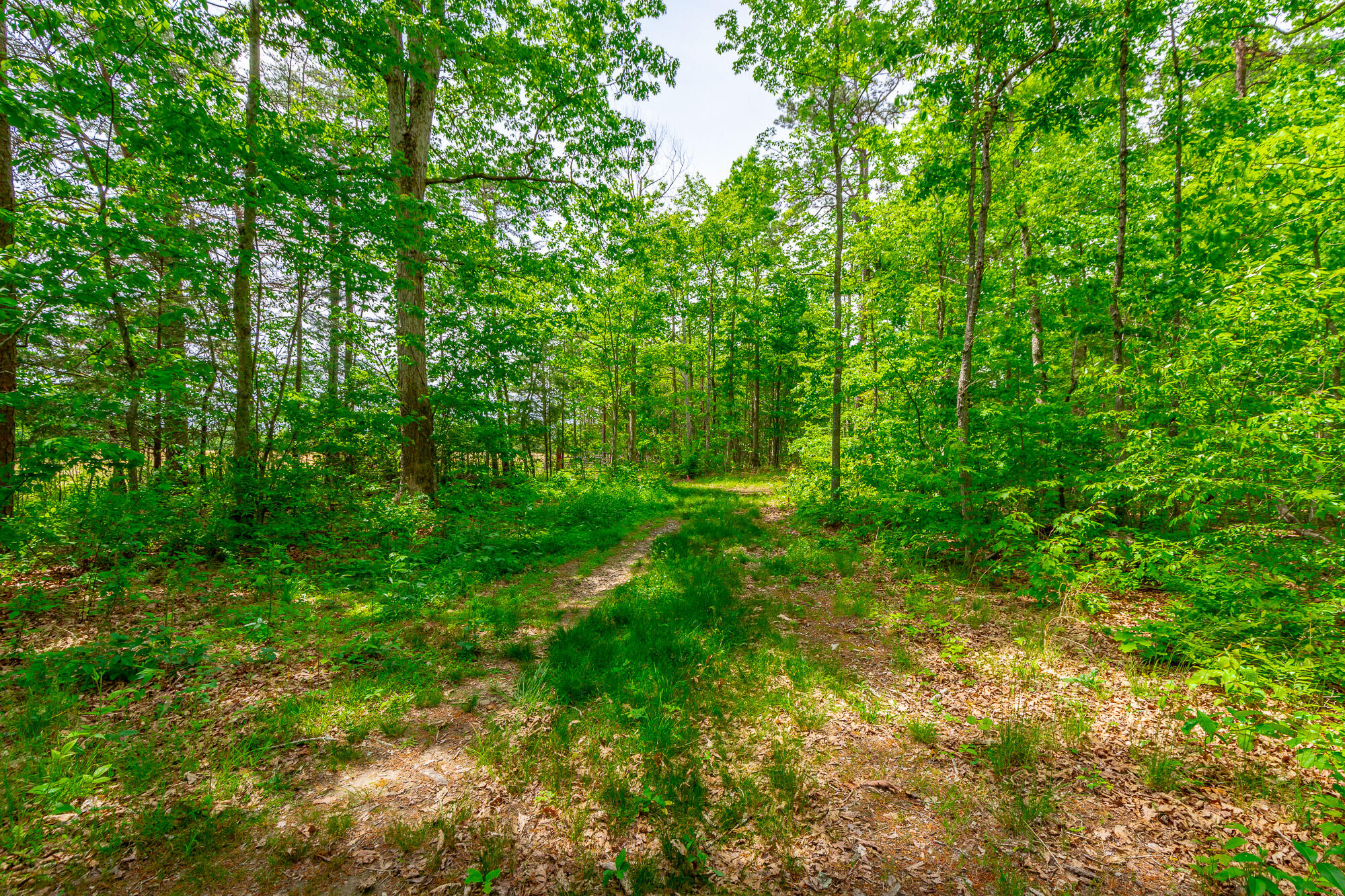 0 Ray Gadd Road Graysville, TN 37338 - Photo 23 of 109 Ray Gadd Road Lot HD-60