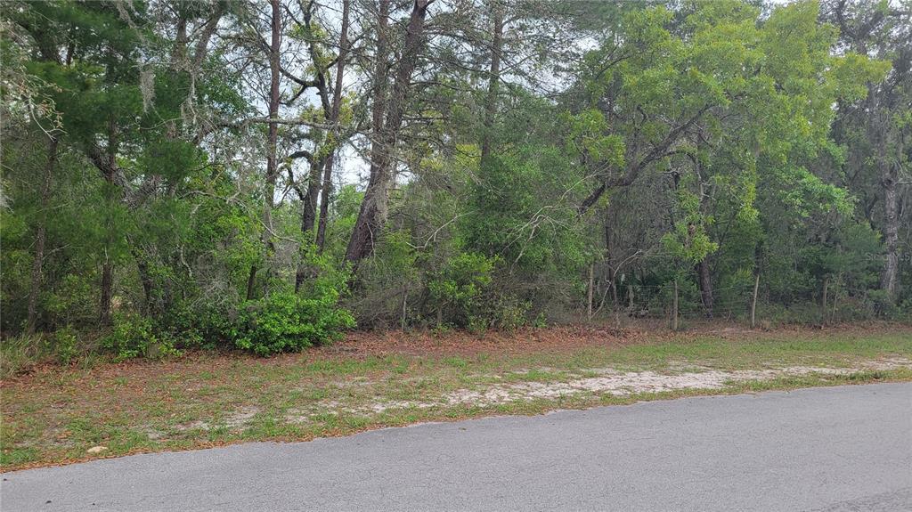 1760 Rabbit Drive New Port Richey, FL 34654 - Photo 1 of 1 Gallery Image 1