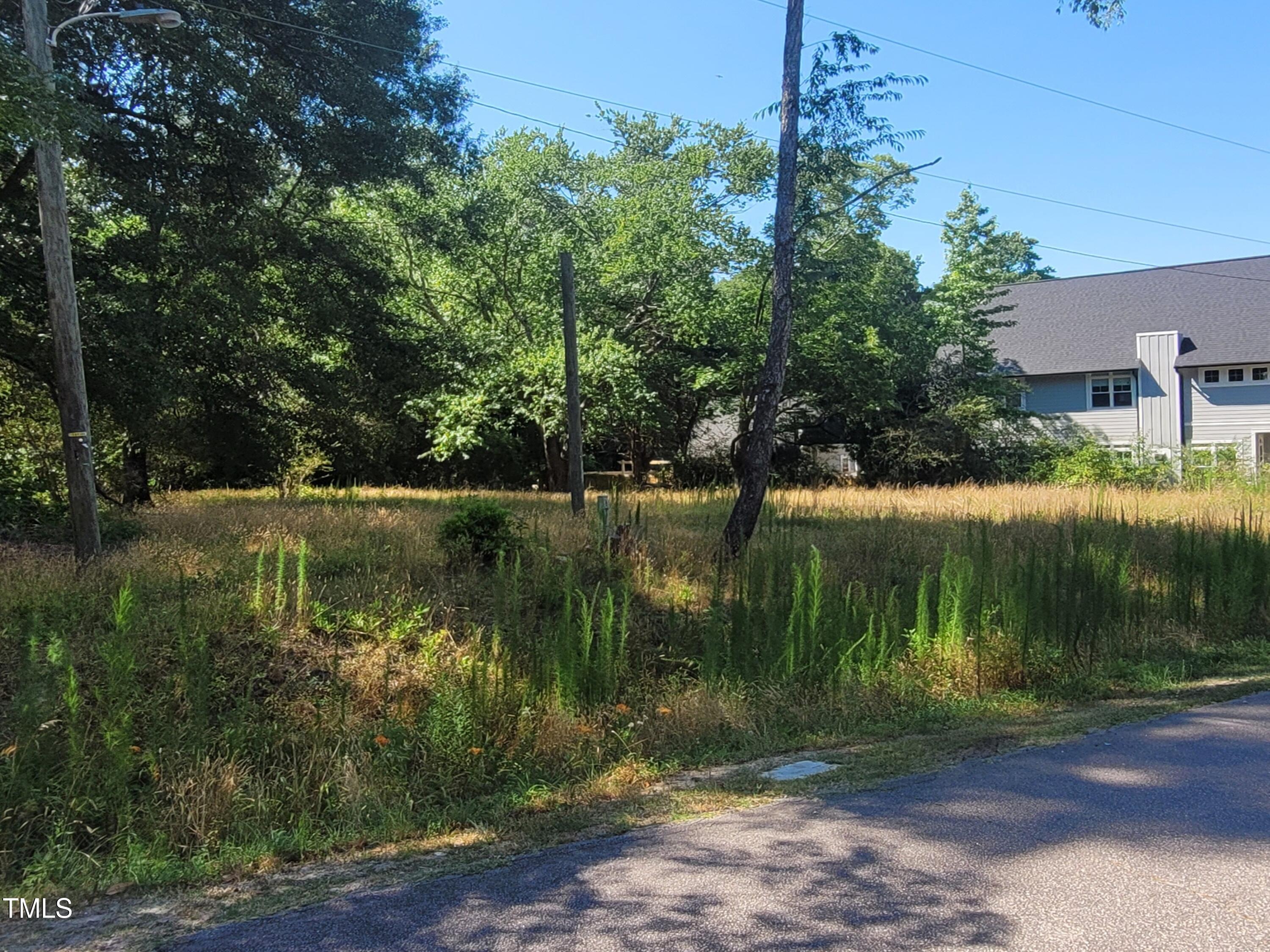 1316 Carp Road Raleigh, NC 27610 - Photo 3 of 5 20240628_102518 (2)