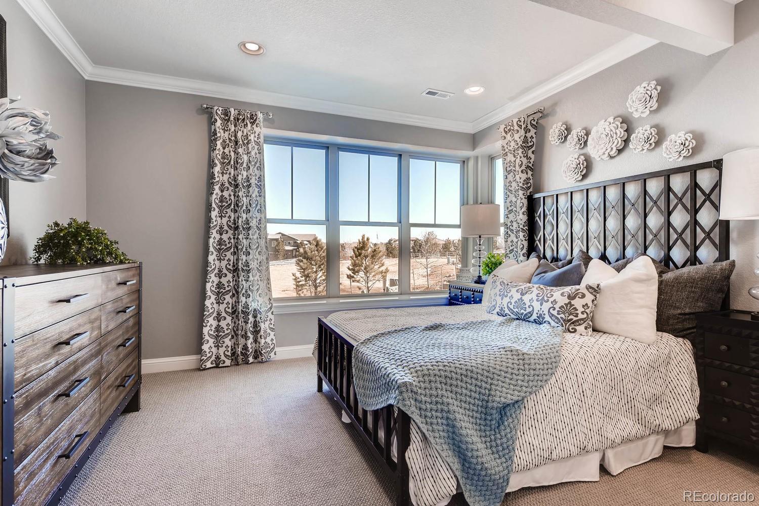 485 Meadowleaf Lane Highlands Ranch, CO 80126 - Photo 18 of 22