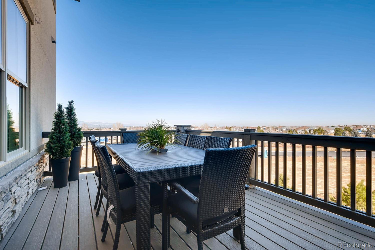 485 Meadowleaf Lane Highlands Ranch, CO 80126 - Photo 20 of 22