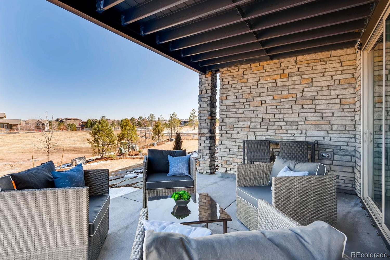 485 Meadowleaf Lane Highlands Ranch, CO 80126 - Photo 21 of 22